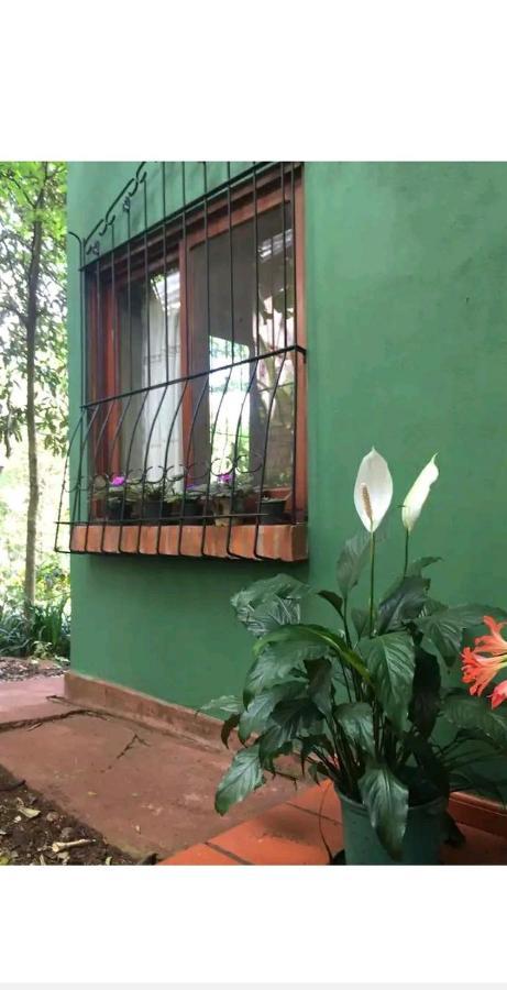 Apartamento Jardín de Naipí 2 Puerto Iguazú Exterior foto